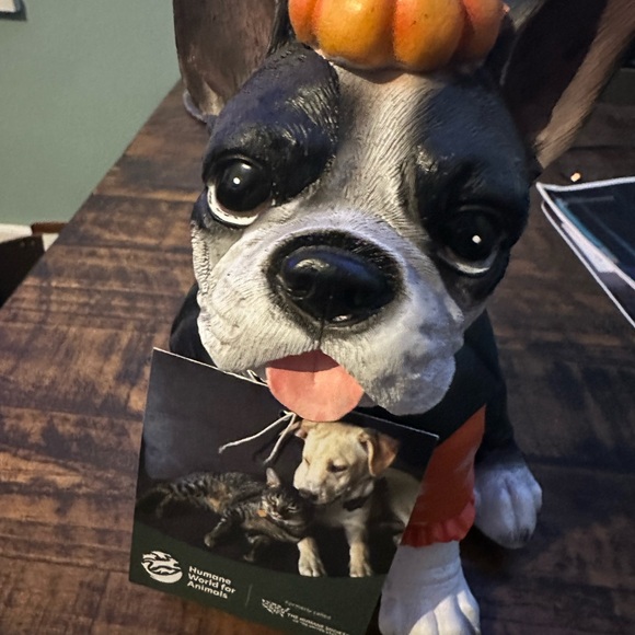 Adorable French Bulldog - Picture 2 of 4